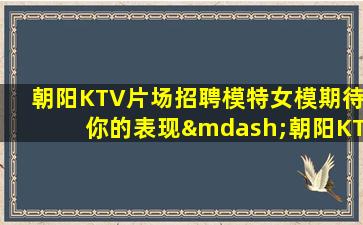 沈阳KTV招聘
